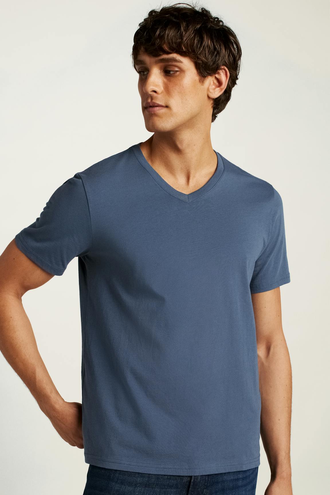 Forever Soft Cotton  V-Neck Tee / Bonobos Discount