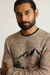 Bear Stroll Sweater / Bonobos